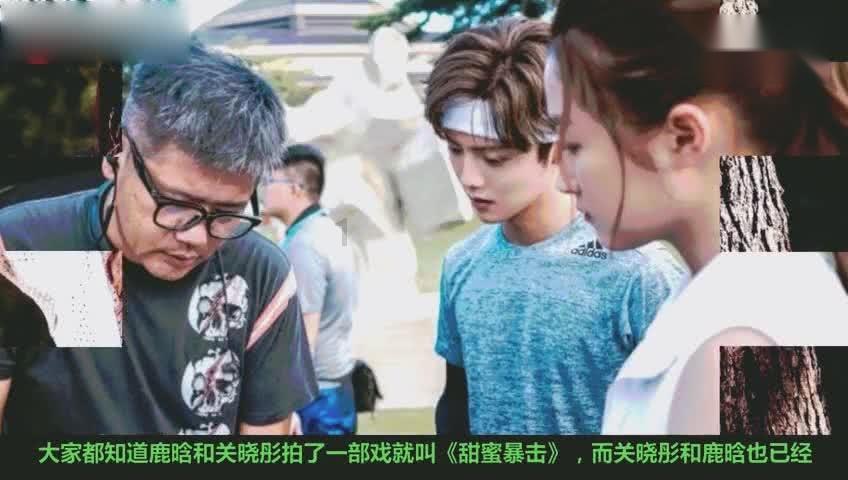 拯救红松鼠